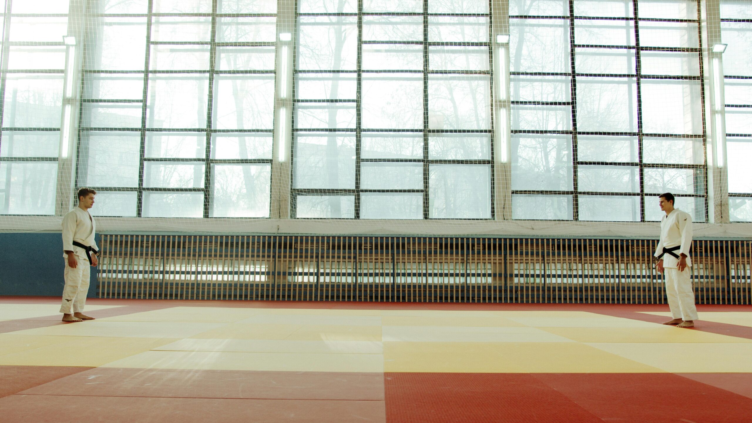 Two martial artists face off in a sunlit dojo, wearing traditional judo gear.